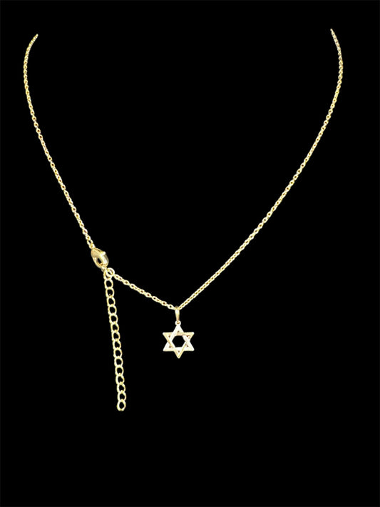 Necklace whit Pendant David’star 14k